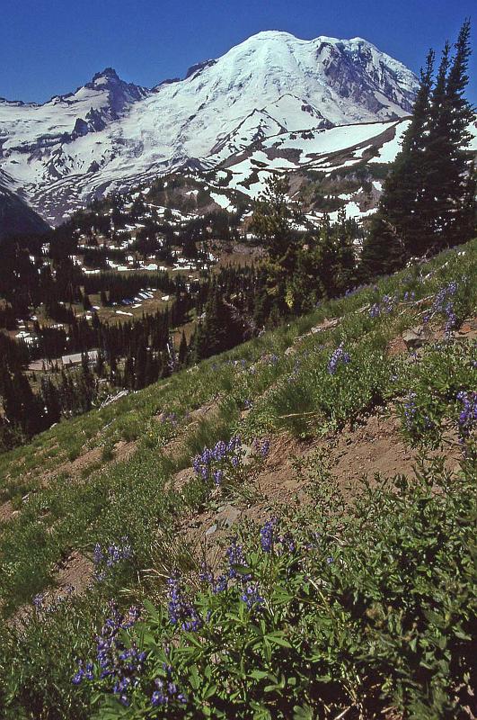 1999-08 Jon and Bobbi Mt Rainier NP 03.jpg